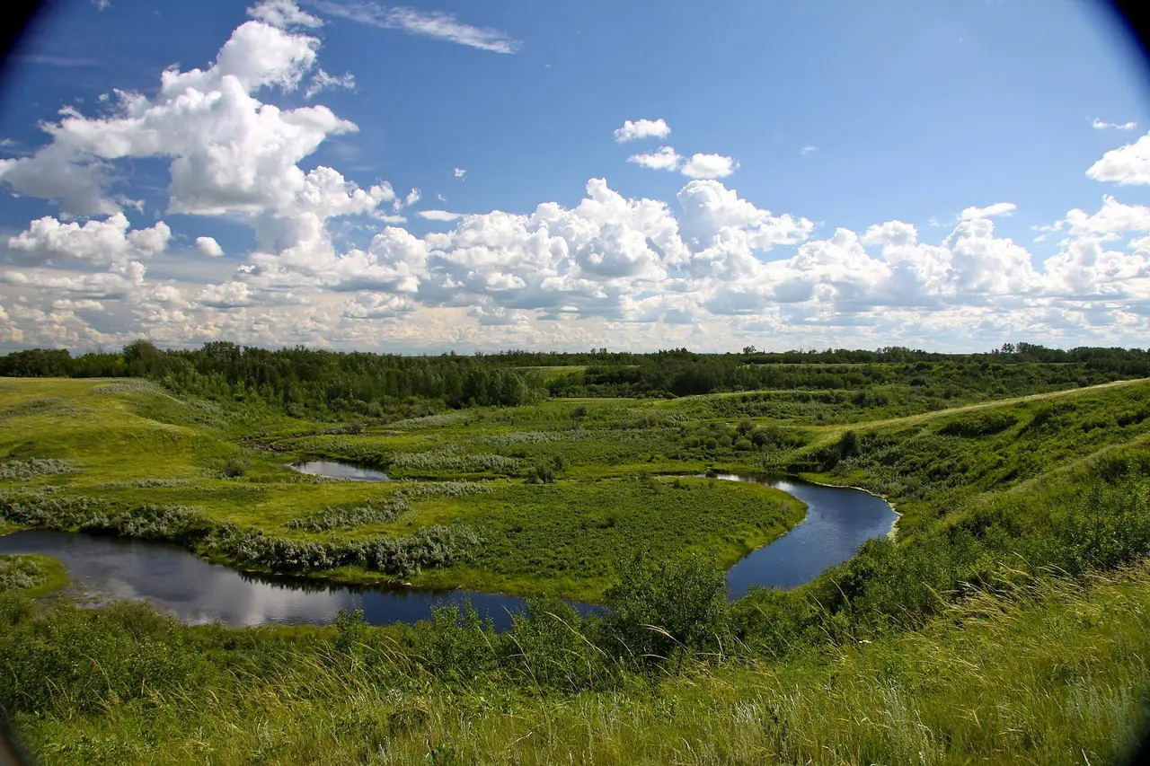 Creek winding through the valley under a big sky, 2010