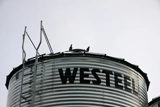 Doves on a Westeel grain bin